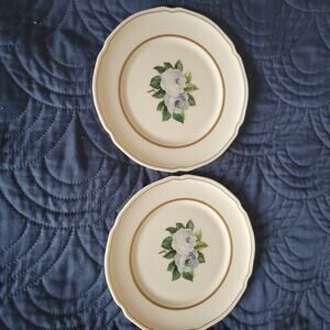 Tudor White York Rose Salad Plate Castleton China MCM Vintage 1950-1967 Gold USA